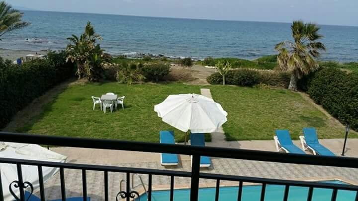 Olgas Villa Agia Marina  객실 사진