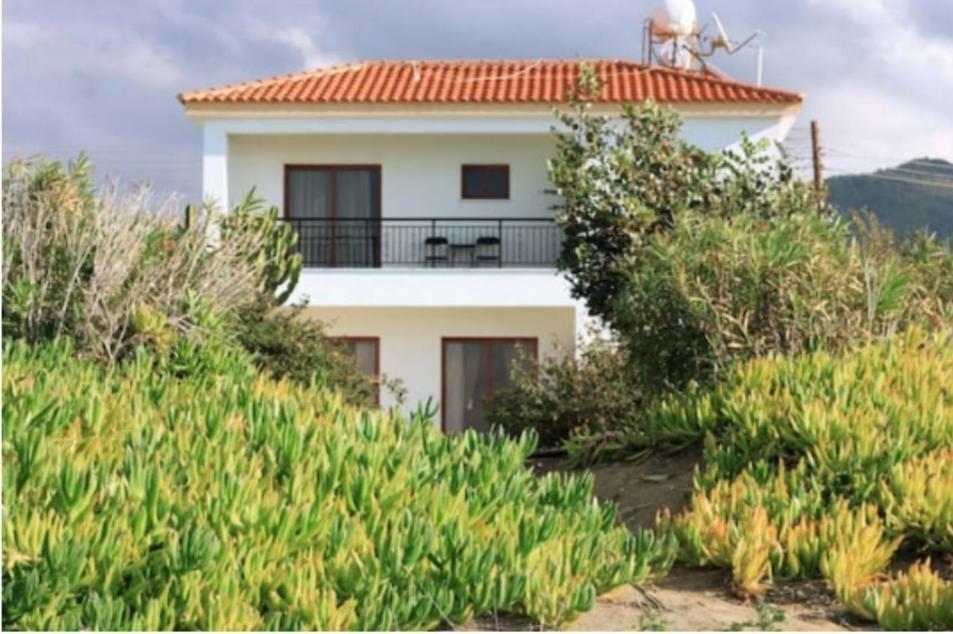 Olgas Villa Agia Marina  외부 사진